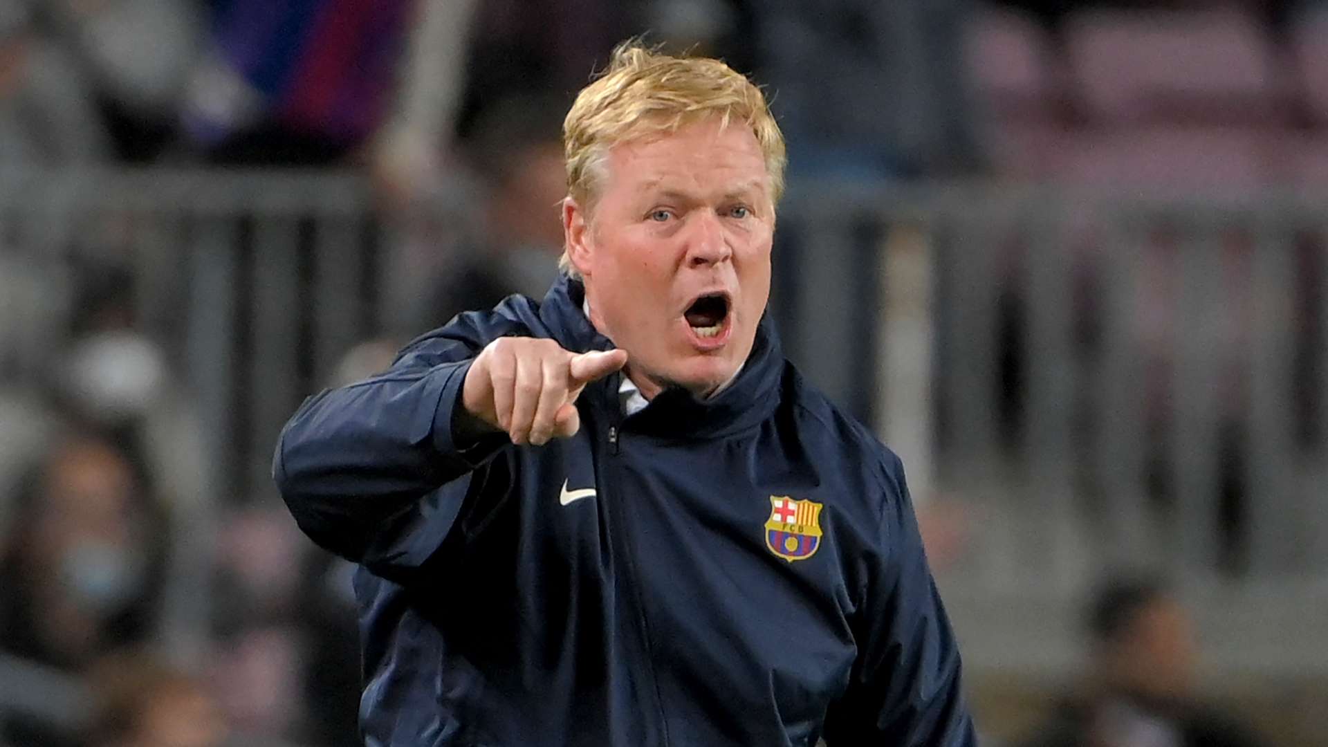 豪感的球迷 豪感的球迷