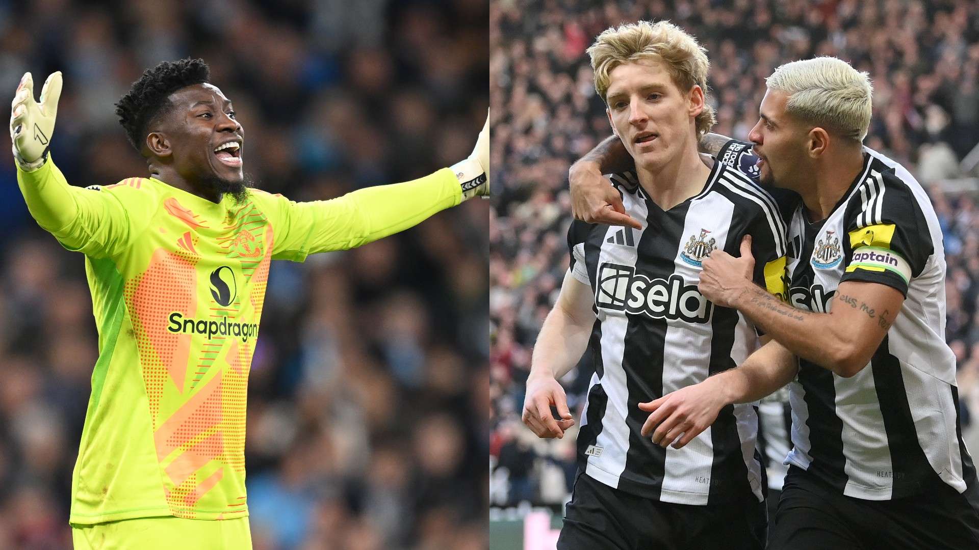 葡萄牙队如 葡萄牙队如