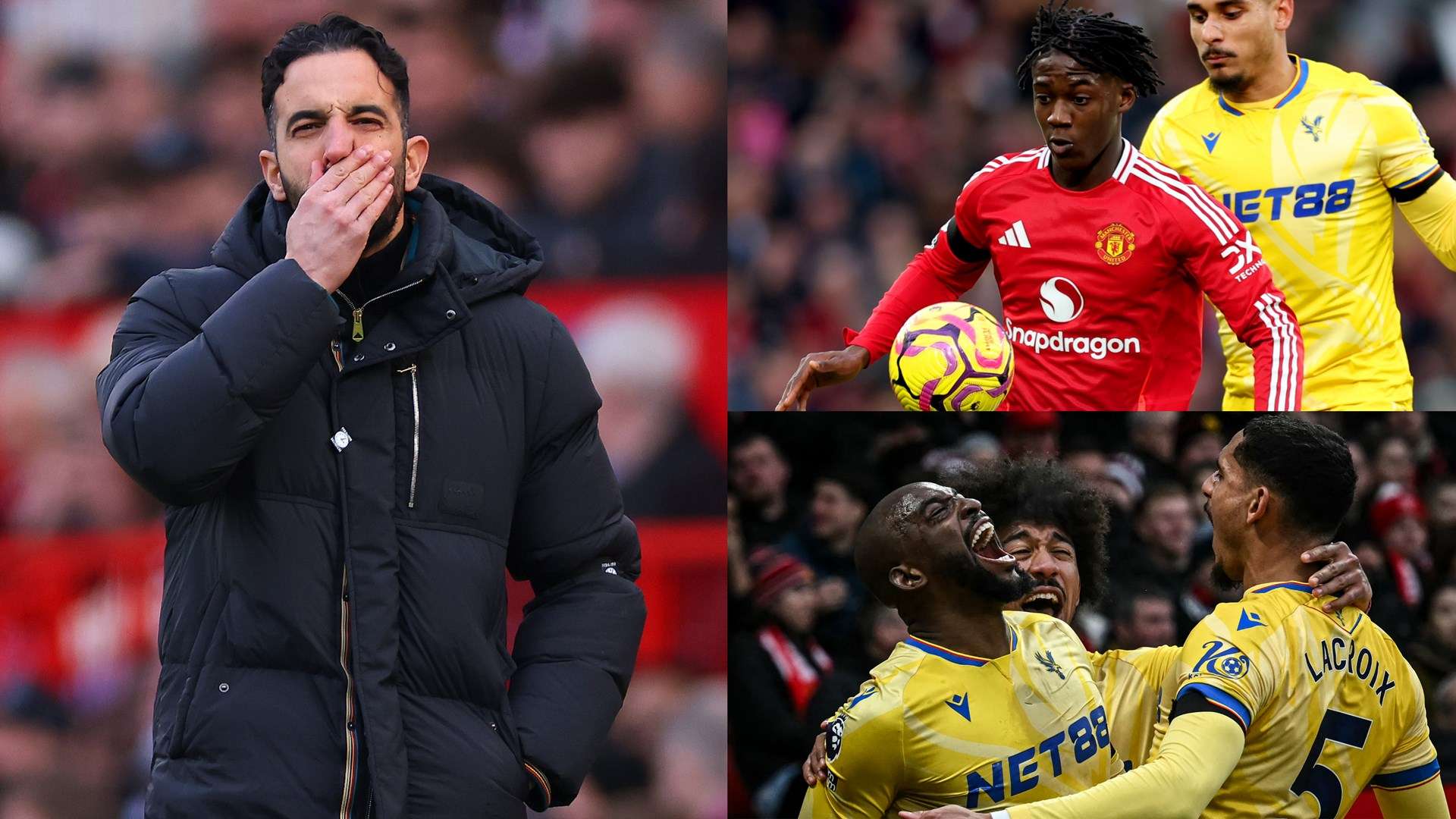 展现其卓越 展现其卓越